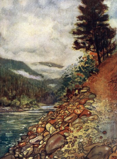 Noruega: Río en Gjora de Nico Jungman