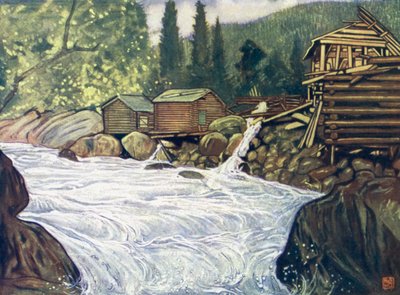 Noruega: Río en Haukeli de Nico Jungman