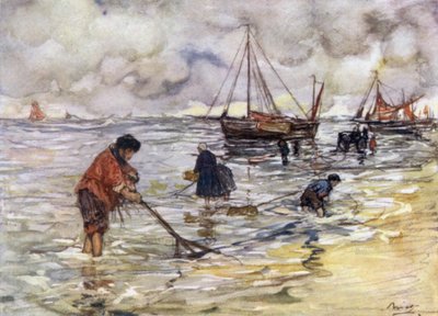 Pesca de camarones de Nico Jungman