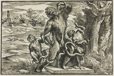 Laocoonte de Nicolò Boldrini
