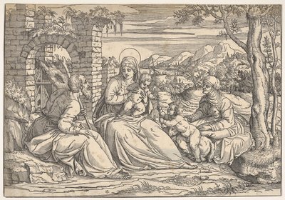 La Sagrada Familia con los santos Isabel y Juan, ca. 1550 de Nicolò Boldrini