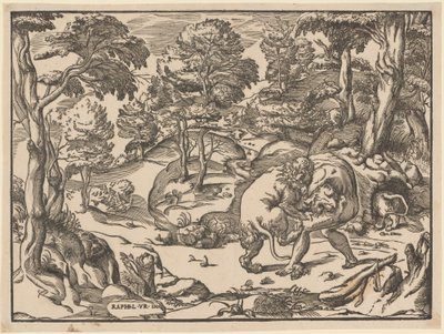 Hércules y el león de Nemea de Nicolò Boldrini, after Raphael