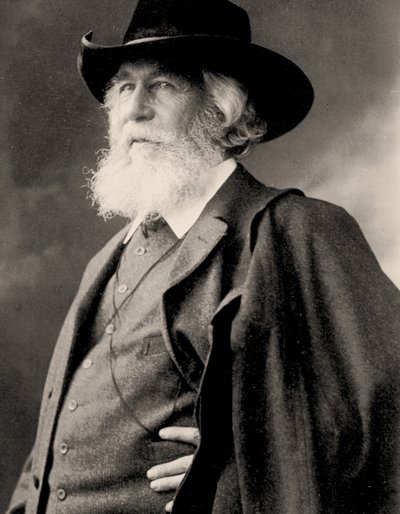 Retrato de Ernst Haeckel, c.1910 (foto) de Nicola Perscheid