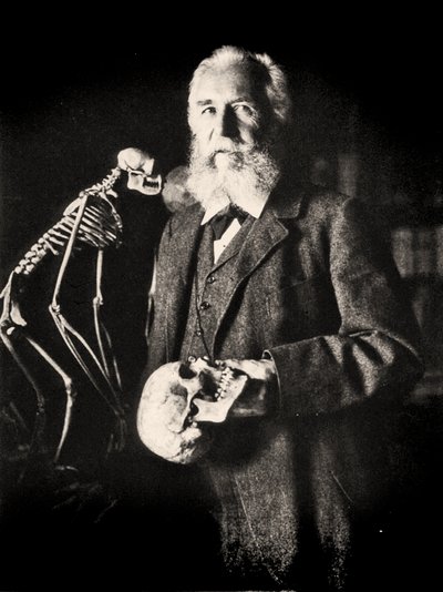 Retrato de Ernst Haeckel junto al esqueleto de un mono, c.1860 (foto) de Nicola Perscheid