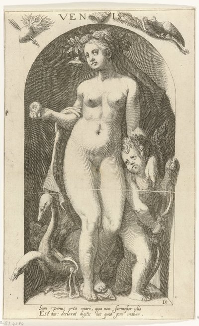 Venus Venis (título sobre objeto) Dioses antiguos (título de la serie) de Nicolaas Braeu
