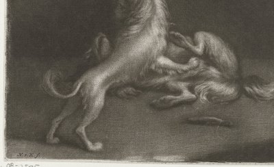 Dos perros jugando de Nicolaas Verkolje