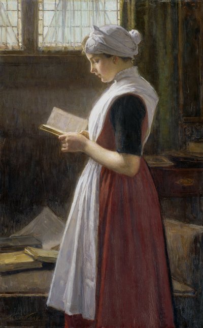 La niña huérfana de Ámsterdam de Nicolaas van der Waay