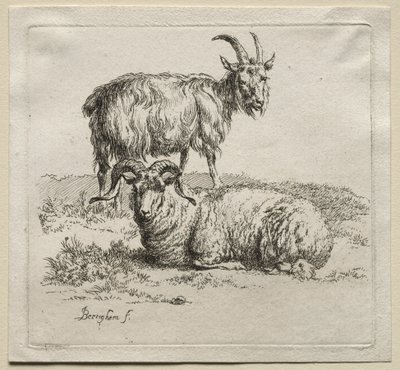 Animalia: Carnero y cabra de Nicolaes Berchem