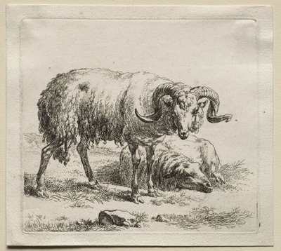 Animalia: Carnero y Oveja de Nicolaes Berchem