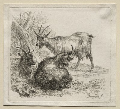 Animalia: Tres Cabras de Nicolaes Berchem