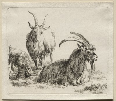 Animalia: Tres cabras de Nicolaes Berchem