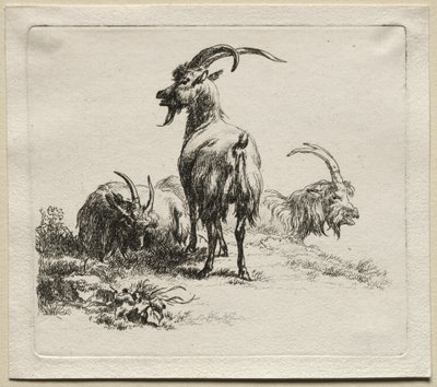 Animalia: Tres cabras de Nicolaes Berchem