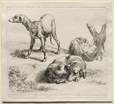 Animalia: Tres perros de caza de Nicolaes Berchem