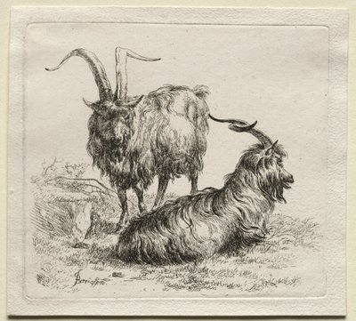 Animalia: Dos cabras de Nicolaes Berchem