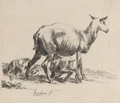 Oveja amamantando a su cordero de Nicolaes Berchem
