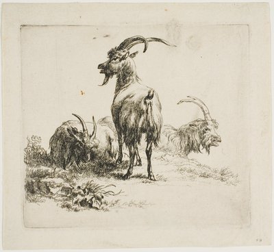 Cabras, de varios animales de Nicolaes Berchem