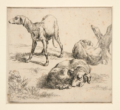 Tres perros de caza (de de Nicolaes Berchem