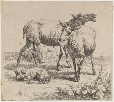 Tres ovejas y un cordero de Nicolaes Berchem