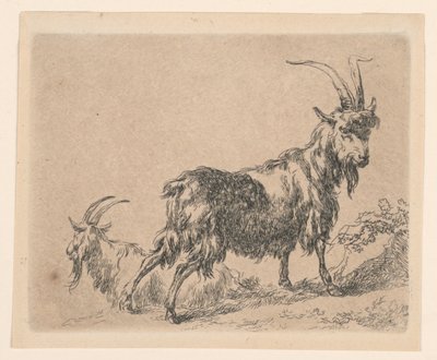 Dos Cabras, de "Animalia" de Berchem [Animalia ad vivum delineata et aqua forti aeri impressa Studio et Arte Nicolai Berchem] de Nicolaes Berchem