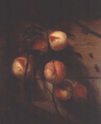 Rama de duraznos contra una pared, con caracoles de Nicolaes Maes