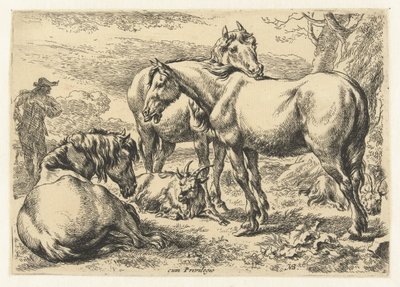 Tres caballos
Animales (título de la serie) de Nicolaes Pietersz Berchem