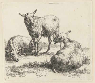 Secar las ovejas Schapen (título de la serie) Animales dibujados a la vida e impresos con agua para un aire fuerte por Studio and Art of Nicolai Berchem (título de la serie) de Nicolaes Pietersz Berchem