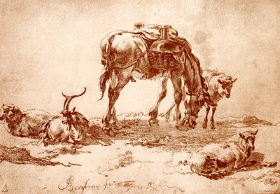 Pasto con burro, cabra y oveja de Nicolaes Pietersz. Berchem
