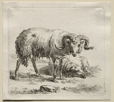 Carnero y oveja de Nicolaes Pietersz. Berchem