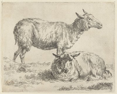 Staand en liggend schaap Schapen (título de la serie) Animales dibujados a la vida e impresos con agua para un aire fuerte por Studio and Art of Nicolai Berchem (título de la serie) de Nicolaes Pietersz Berchem