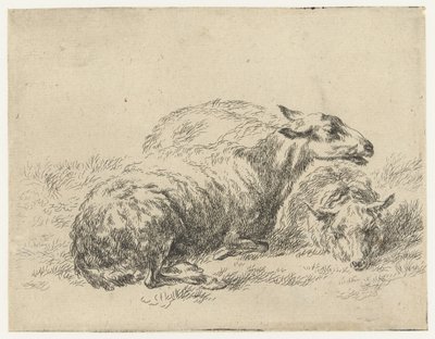 Twee ligende schapen Schapen (título de la serie) Animales dibujados a la vida e impresos con agua para un aire fuerte por Studio and Art of Nicolai Berchem (título de la serie) de Nicolaes Pietersz Berchem