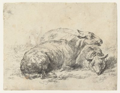 Dos hojas ligeras
schapen (título de la serie)
Animalia ad vivum delineata et aqua forti aeri impressa Studio et Arte Nicolai Berchemi (título de la serie) de Nicolaes Pietersz Berchem