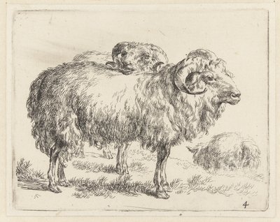 Twee rammen en een schaap Schapen (título de la serie) Animales dibujados a la vida e impresos con agua para un aire fuerte por Studio and Art of Nicolai Berchem (título de la serie) de Nicolaes Pietersz Berchem