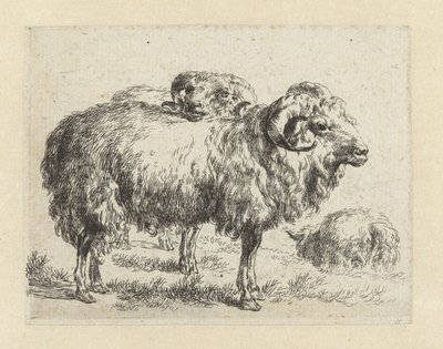 Twee rammen en een schaap Schapen (título de la serie) Animales dibujados a la vida e impresos con agua para un aire fuerte por Studio and Art of Nicolai Berchem (título de la serie) de Nicolaes Pietersz Berchem