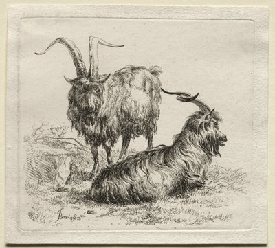 Dos cabras de Nicolaes Pietersz. Berchem