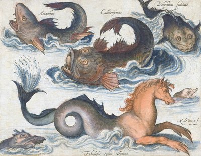 Caballito de mar y criaturas acuáticas imaginarias de Nicolaes de (after) Bruyn
