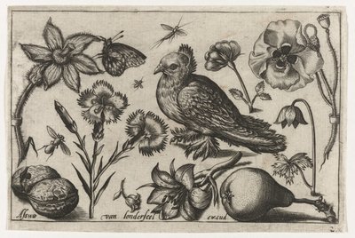 Flores, una pera y una paloma. Pájaros, flores, insectos, etc. (título de la serie) de Nicolaes de Bruyn (possibly)