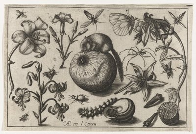 Flores y un ratón sobre una manzana. Pájaros, flores, insectos, etc. (título de la serie) de Nicolaes de Bruyn (possibly)