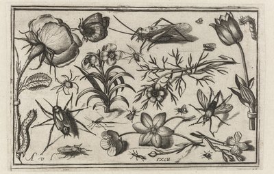 flores e insectos Pájaros, flores, insectos, etc. (título de la serie) de Nicolaes de Bruyn (possibly)