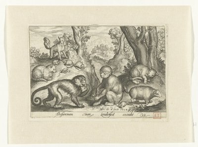 Monos, gatos y ratones Animalivm qvadrvpedvm (título de la serie) Animales en paisajes (título de la serie) de Nicolaes de Bruyn