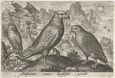 Águila y otras aves rapaces Pájaros e insectos (título de la serie) de Nicolaes de Bruyn