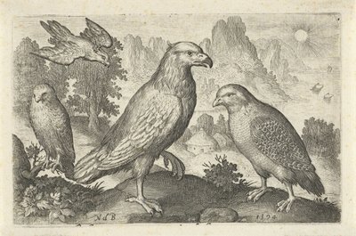 Águila y otras aves rapaces Pájaros e insectos (título de la serie) de Nicolaes de Bruyn