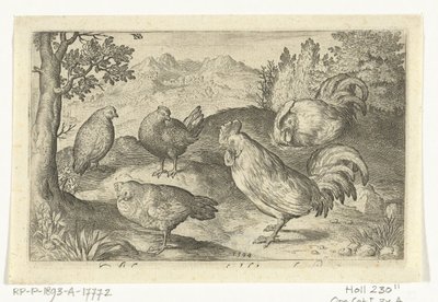 Tres gallinas y dos gallos Pájaros e insectos (título de la serie) de Nicolaes de Bruyn