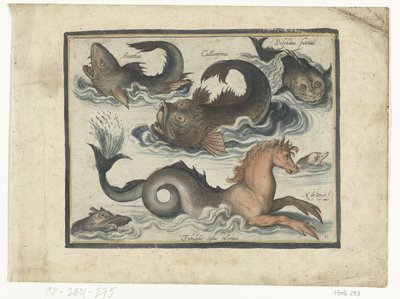 Fantásticos animales acuáticos, incluido el caballito de mar
Libelivs varia Genera piscium complectens (título de la serie)
Peces de agua dulce, peces de mar, ranas, crustáceos y criaturas marinas (título de la serie) de Nicolaes de Bruyn