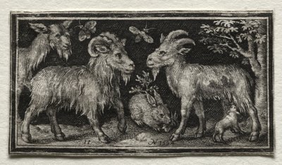 Cabras y liebre de Nicolaes de Bruyn