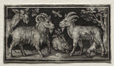Cabras y Liebre, 1594 de Nicolaes de Bruyn