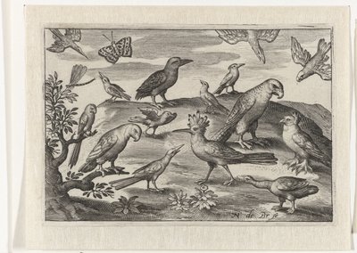 Lúpulo y otras aves Pájaros e insectos (título de la serie) de Nicolaes de Bruyn