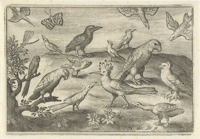 Lúpulo y otras aves Pájaros e insectos (título de la serie) de Nicolaes de Bruyn