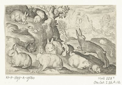 Conejos, ardilla, conejillo de indias y ratón Animalivm qvadrvpedvm (título de la serie) Animales en paisajes (título de la serie) de Nicolaes de Bruyn