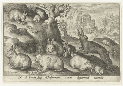 Conejos, ardilla, conejillo de indias y ratón Animalivm qvadrvpedvm (título de la serie) Animales en paisajes (título de la serie) de Nicolaes de Bruyn