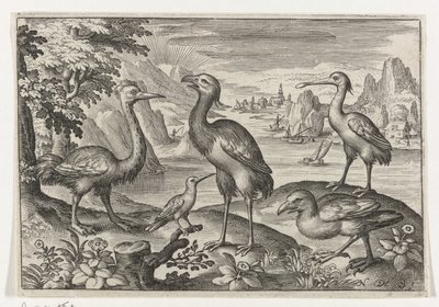 Grulla coronada entre dos avestruces Pájaros e insectos (título de la serie) de Nicolaes de Bruyn